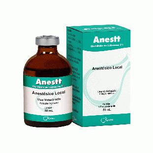 Anestt Injetável 50mL